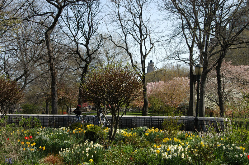 Riverside Park NYC